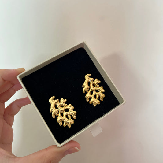 Coral Earrings